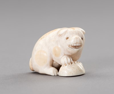 Lot 630 - RANICHI: AN IVORY NETSUKE OF A PUPPY WITH AWABI