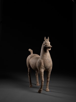 Lot 464 - A VERY LARGE AND MASSIVE SICHUAN POTTERY FIGURE OF A STRIDING HORSE, HAN DYNASTY