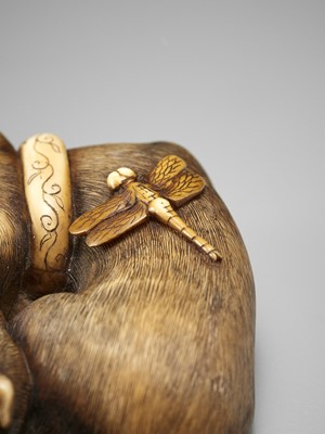 Lot 71 - AN IVORY NETSUKE OF A DOG WITH PUPPY AND DRAGONFLY