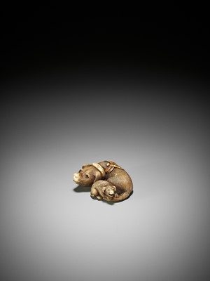 Lot 71 - AN IVORY NETSUKE OF A DOG WITH PUPPY AND DRAGONFLY