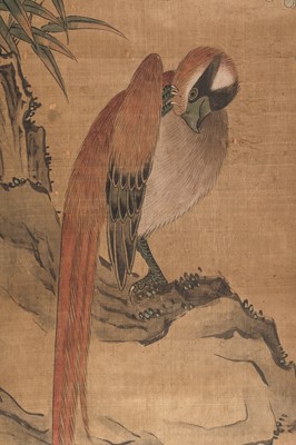 Lot 205 - TWO PAINTINGS OF BIRDS, QING