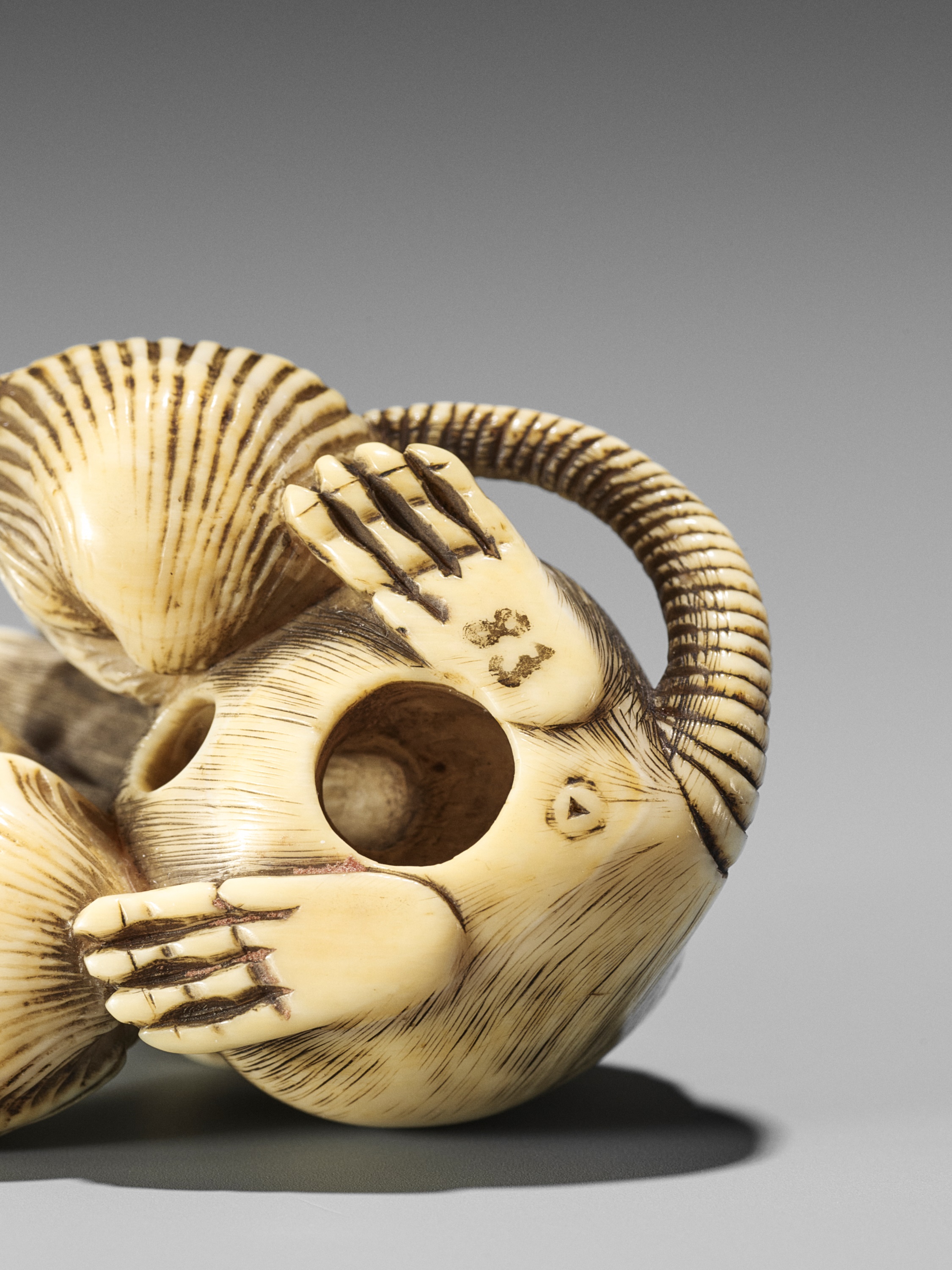 Lot 189 - AN IVORY NETSUKE OF A RAT WITH HAMAGURI