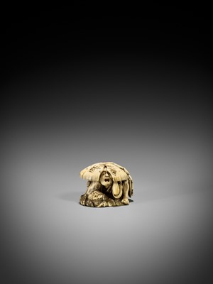 Lot 217 - TOMOCHIKA: A RARE IVORY NETSUKE OF A FARMER SHELTERING FROM THE STORM