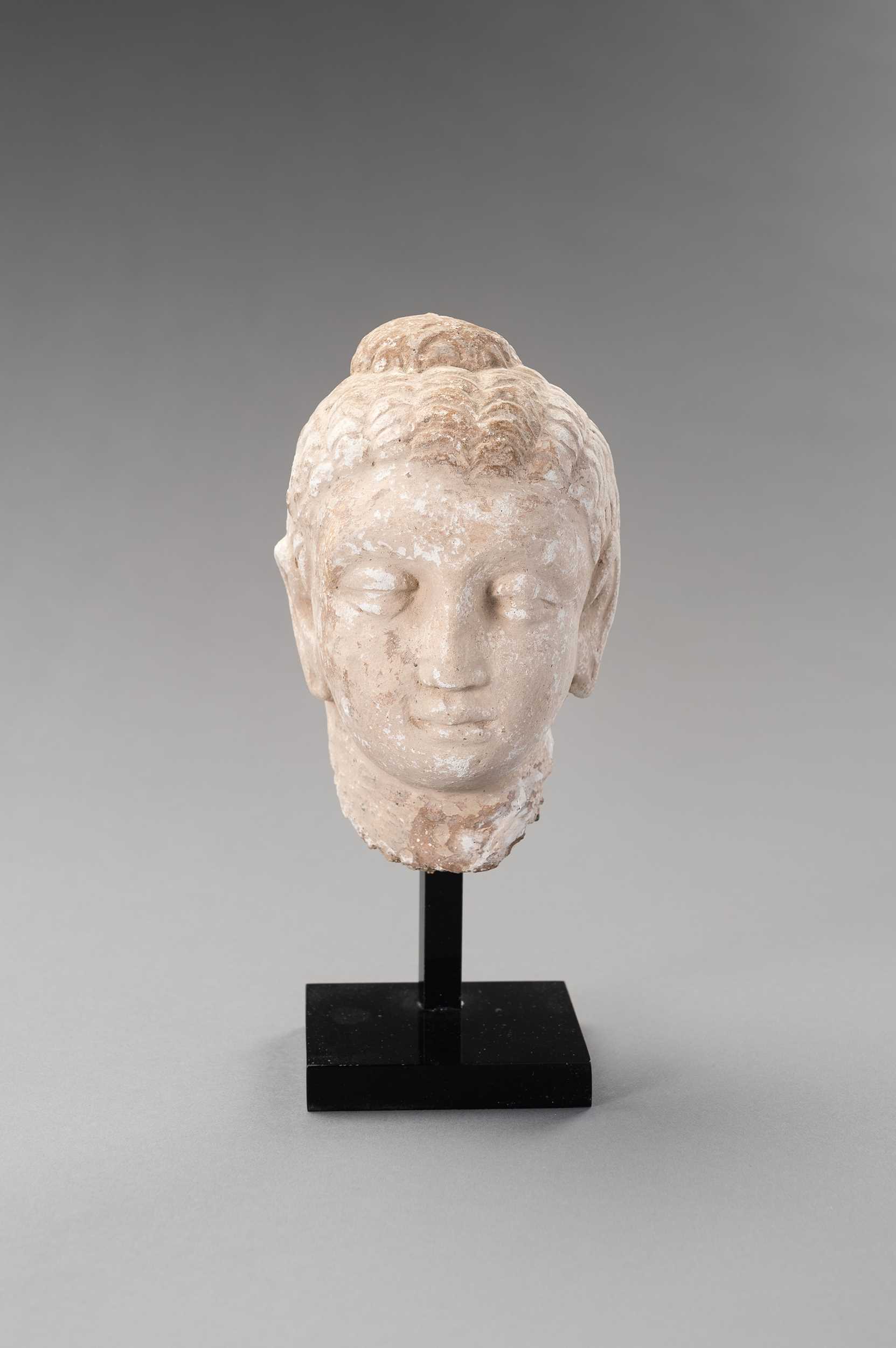 Lot 1138 - A STUCCO HEAD OF BUDDHA, GANDHARA