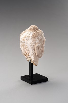 Lot 1138 - A STUCCO HEAD OF BUDDHA, GANDHARA