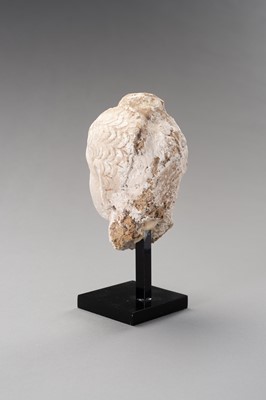Lot 1138 - A STUCCO HEAD OF BUDDHA, GANDHARA