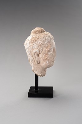 Lot 1138 - A STUCCO HEAD OF BUDDHA, GANDHARA