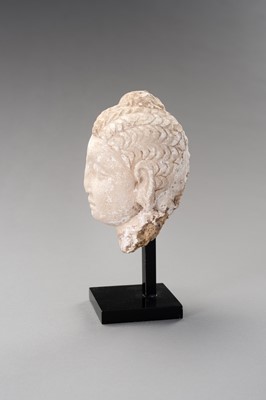 Lot 1138 - A STUCCO HEAD OF BUDDHA, GANDHARA