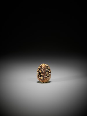 Lot 255 - A SUPERB STAG ANTLER NETSUKE OF A CROUCHING TOAD