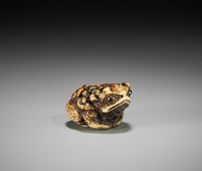 Lot 255 - A SUPERB STAG ANTLER NETSUKE OF A CROUCHING TOAD