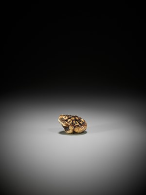 Lot 255 - A SUPERB STAG ANTLER NETSUKE OF A CROUCHING TOAD