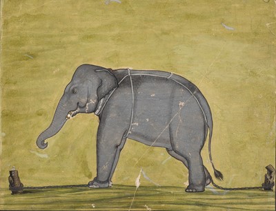 Lot 324 - AN INDIAN MINIATURE PAINTING DEPICTING A CHAINED ELEPHANT