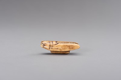 Lot 490 - A STAG ANTLER NETSUKE OF A CICADA