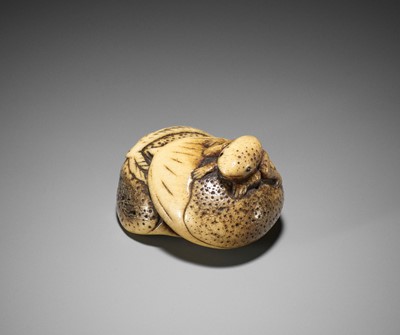 A STAG ANTLER NETSUKE OF A FROG ON CHESTNUTS