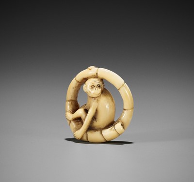 Lot 169 - A MARINE IVORY NETSUKE OF A MONKEY SITTING IN A COILED BAMBOO NODE