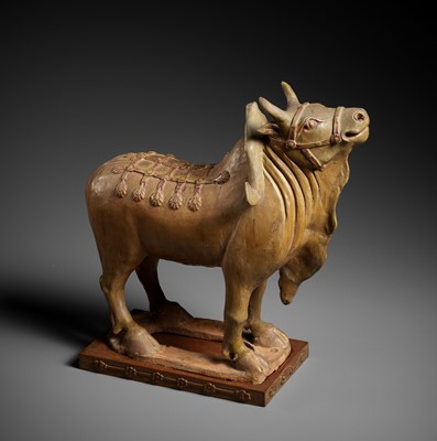 Lot 375 - AN IMPRESSIVE POTTERY FIGURE OF A BULL, SUI TO TANG DYNASTY