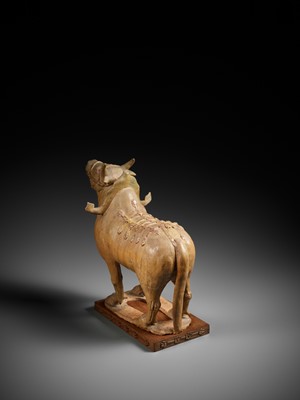 Lot 375 - AN IMPRESSIVE POTTERY FIGURE OF A BULL, SUI TO TANG DYNASTY