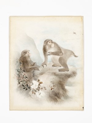 Lot 344 - A FINE AND DETAILED “MONKEYS” STUDY, MORI PAINTING SCHOOL