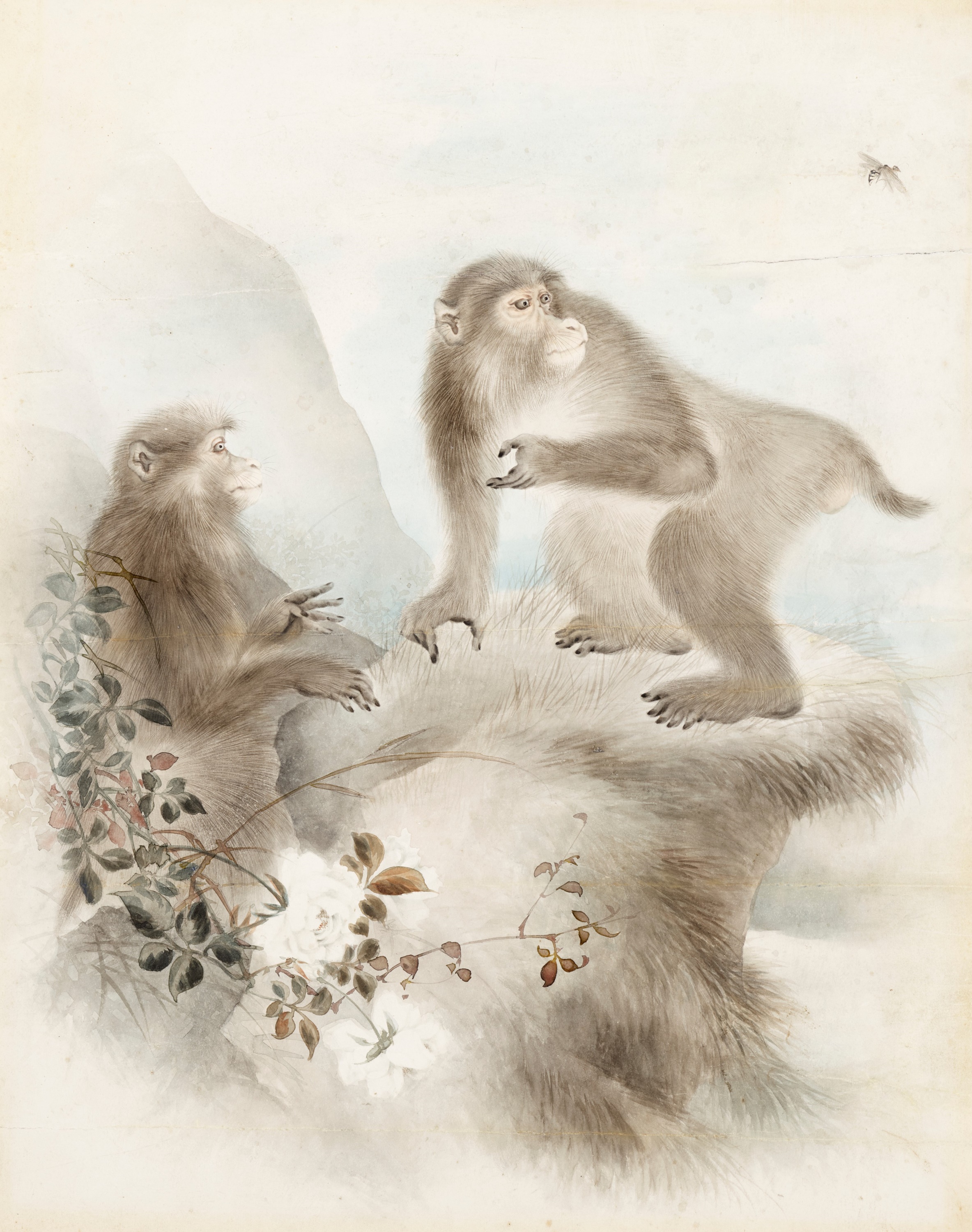 Lot 344 - A FINE AND DETAILED “MONKEYS” STUDY, MORI