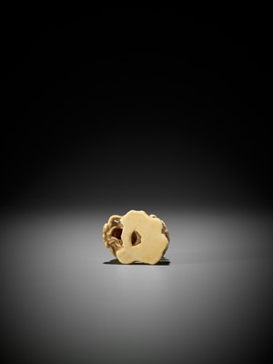 A SUPERB IVORY NETSUKE OF A ROARING SHISHI WITH ROCK AND LOOSE BALL