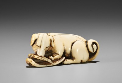 A SUPERB IVORY NETSUKE OF A DOG WITH SANDAL