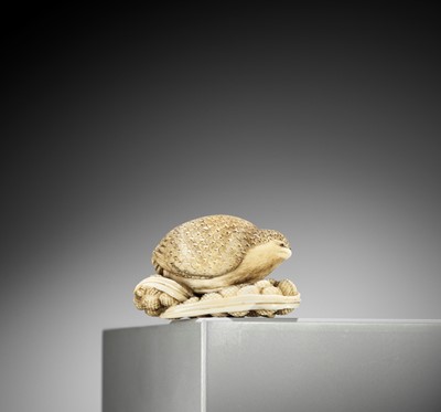 YOSHIKAZU: AN IVORY NETSUKE OF A QUIAL PERCHED ON MILLET