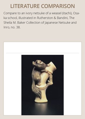 Lot 97 - A RARE KYOTO SCHOOL NARWHAL TUSK NETSUKE OF A WEASEL ON A ROCK