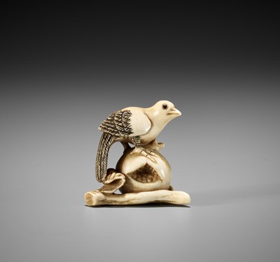 Lot 1399 - AN IVORY NETSUKE OF A PIGEON PERCHED ON A POMEGRANATE, ATTRIBUTED TO ANRAKU