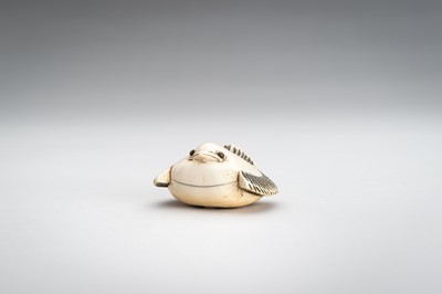 Lot 1382 - OKATOMO: AN IVORY NETSUKE OF THE FUKURA SUZUME