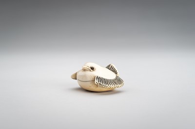 Lot 1382 - OKATOMO: AN IVORY NETSUKE OF THE FUKURA SUZUME