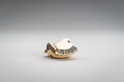 Lot 1382 - OKATOMO: AN IVORY NETSUKE OF THE FUKURA SUZUME