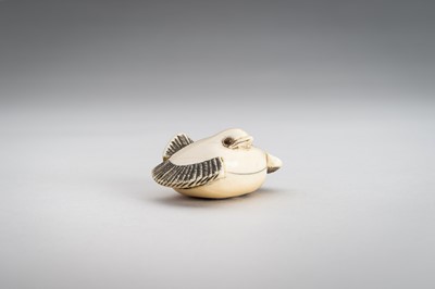 Lot 1382 - OKATOMO: AN IVORY NETSUKE OF THE FUKURA SUZUME