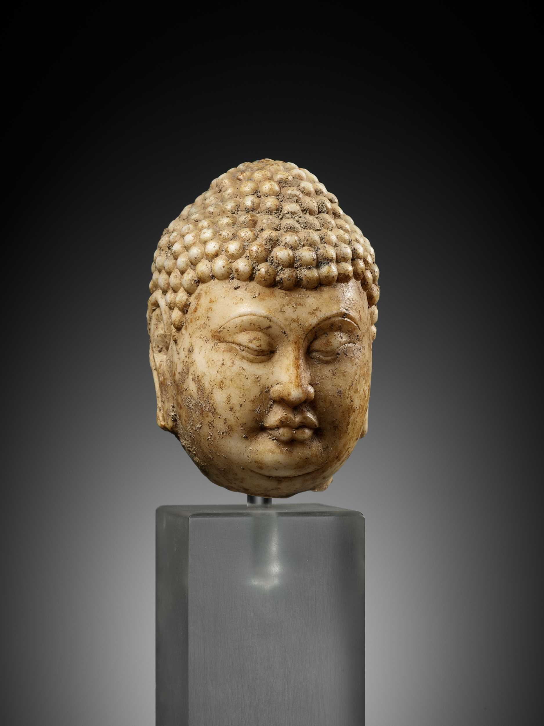 Lot 8 - A MARBLE HEAD OF BUDDHA, TANG DYNASTY