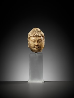 Lot 8 - A MARBLE HEAD OF BUDDHA, TANG DYNASTY