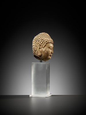 Lot 8 - A MARBLE HEAD OF BUDDHA, TANG DYNASTY
