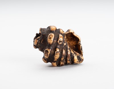 Lot 1551 - A STAG ANTLER NETSUKE OF A HORAGAI