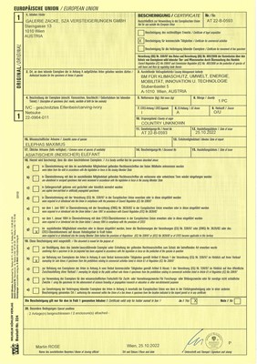 Lot 1502 - AN IVORY NETSUKE OF TWO SAMURAI FIGHTING IN A STIRRUP