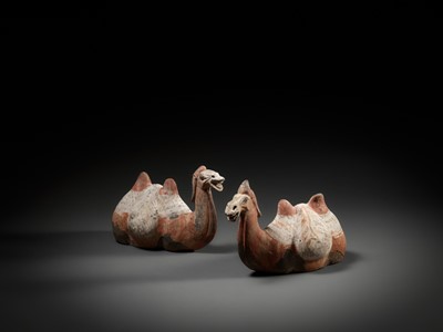 Lot 351 - A RARE PAIR OF BACTRIAN CAMELS, PAINTED GRAY POTTERY, TANG DYNASTY