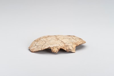 Lot 63 - AN INSCRIBED SHANG DYNASTY ‘ORACLE BONE’ TURTLE PLASTRON, JIAGUWEN