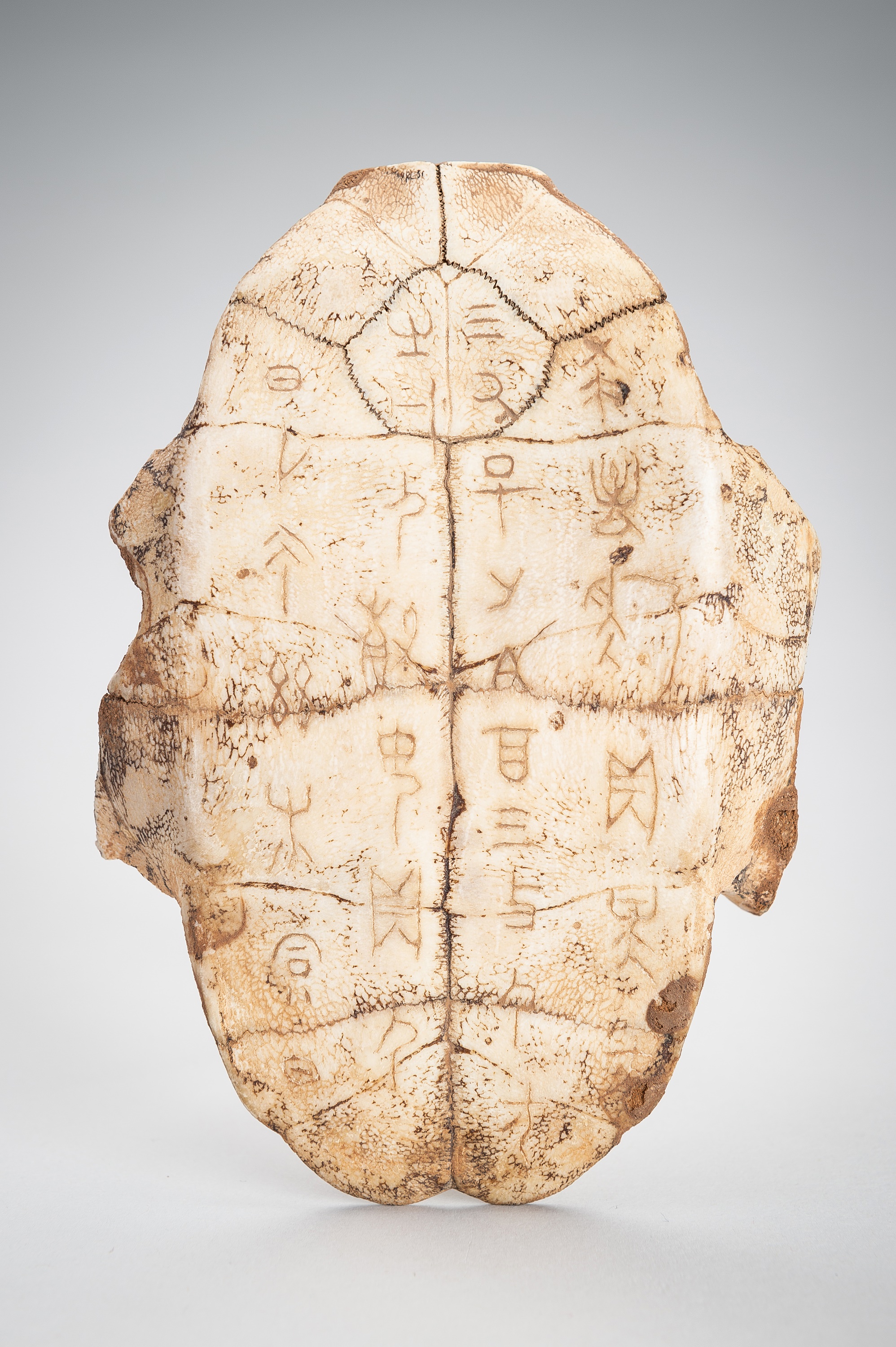 Oracle Bone Script Turtle Lot 63 - AN INSCRIBED SHANG DYNASTY ‘ORACLE BONE’
