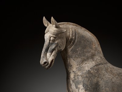 Lot 350 - A LARGE GRAY POTTERY STRIDING HORSE, EARLY TANG DYNASTY