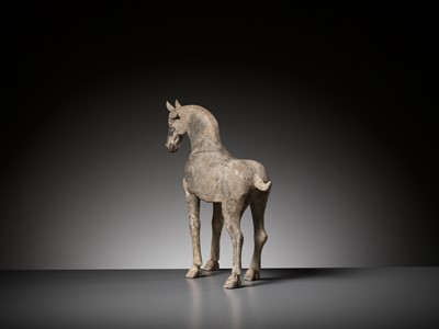Lot 350 - A LARGE GRAY POTTERY STRIDING HORSE, EARLY TANG DYNASTY