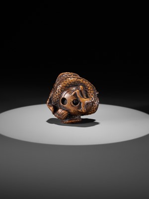 Lot 325 - A WOOD NETSUKE OF A COILED DRAGON WITH TAMA