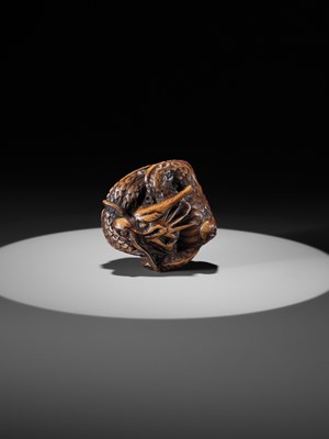 Lot 325 - A WOOD NETSUKE OF A COILED DRAGON WITH TAMA