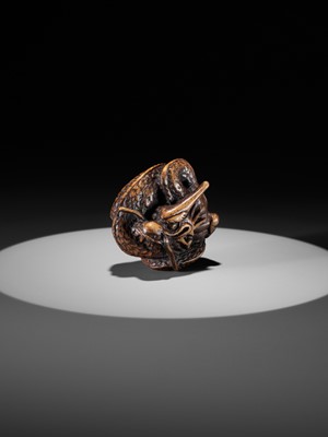 Lot 325 - A WOOD NETSUKE OF A COILED DRAGON WITH TAMA
