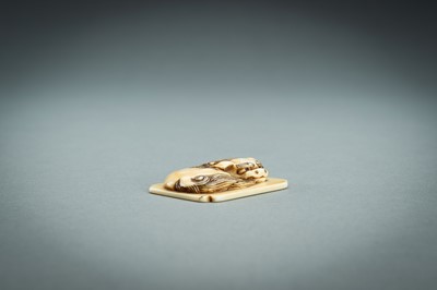 Lot 312 - A RENSAI STYLE IVORY NETSUKE OF A SHISHI, MEIJI
