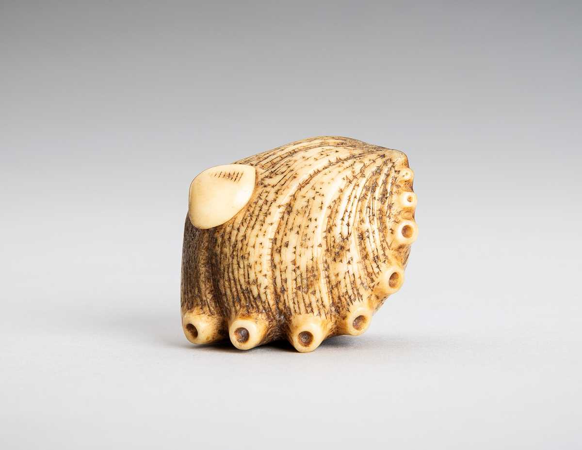 Lot 1542 - A STAG ANTLER NETSUKE OF AN AWABI AND CLAM