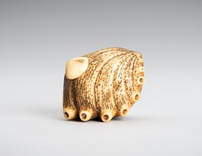 Lot 1542 - A STAG ANTLER NETSUKE OF AN AWABI AND CLAM