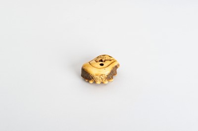 Lot 1542 - A STAG ANTLER NETSUKE OF AN AWABI AND CLAM