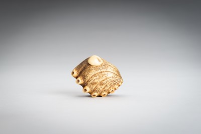 Lot 1542 - A STAG ANTLER NETSUKE OF AN AWABI AND CLAM